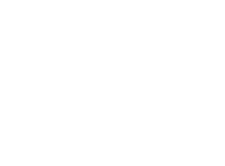 Logo de HISTORY 2